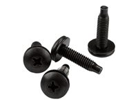Server Rack Screws, 10-32 Screws, Rack Mount Screws, Network Rack Screws, 50 Pack, TAA CABSCRWS1032